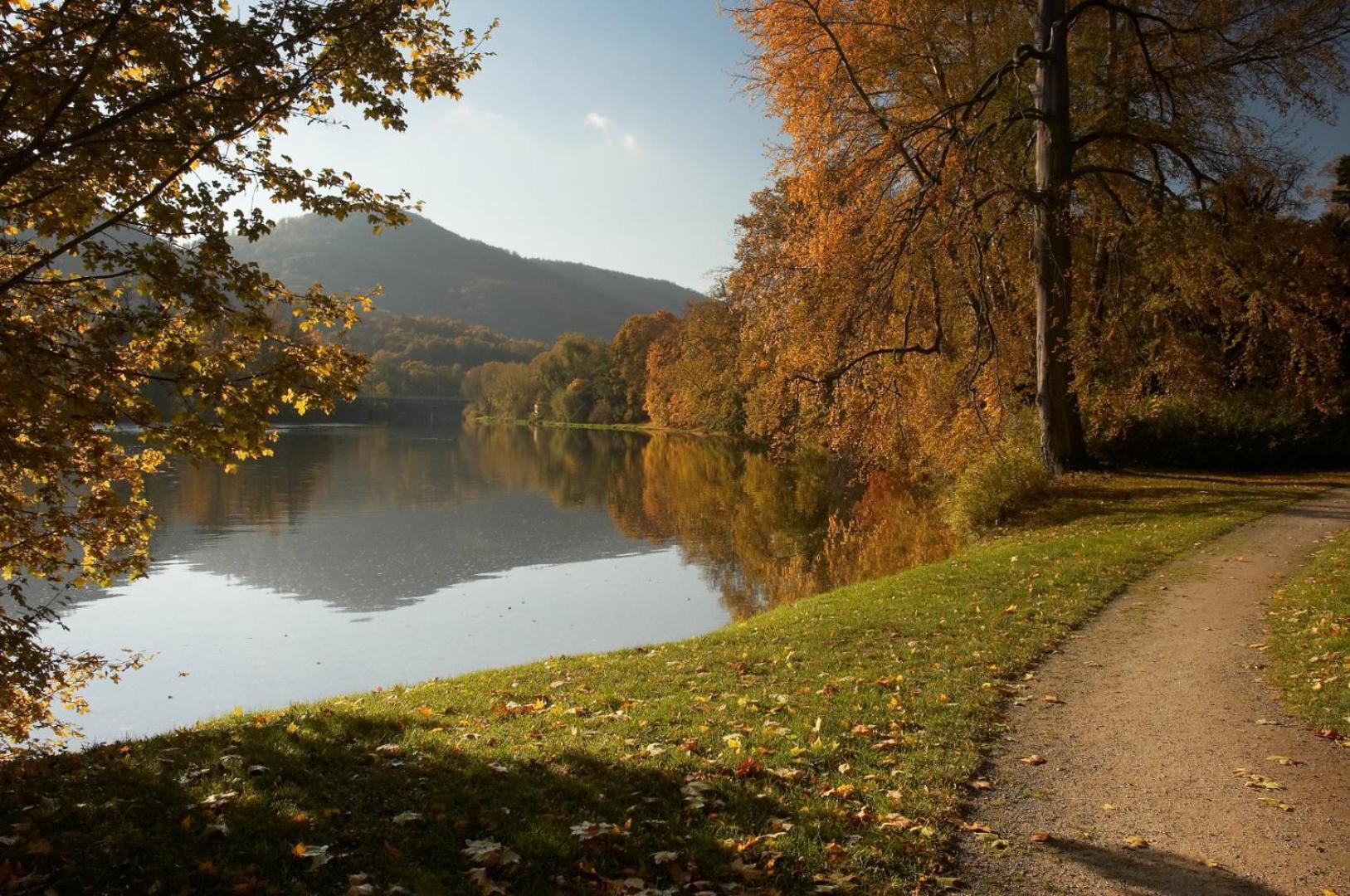 Chata Lazne Evzenie Klášterec nad Ohří Esterno foto