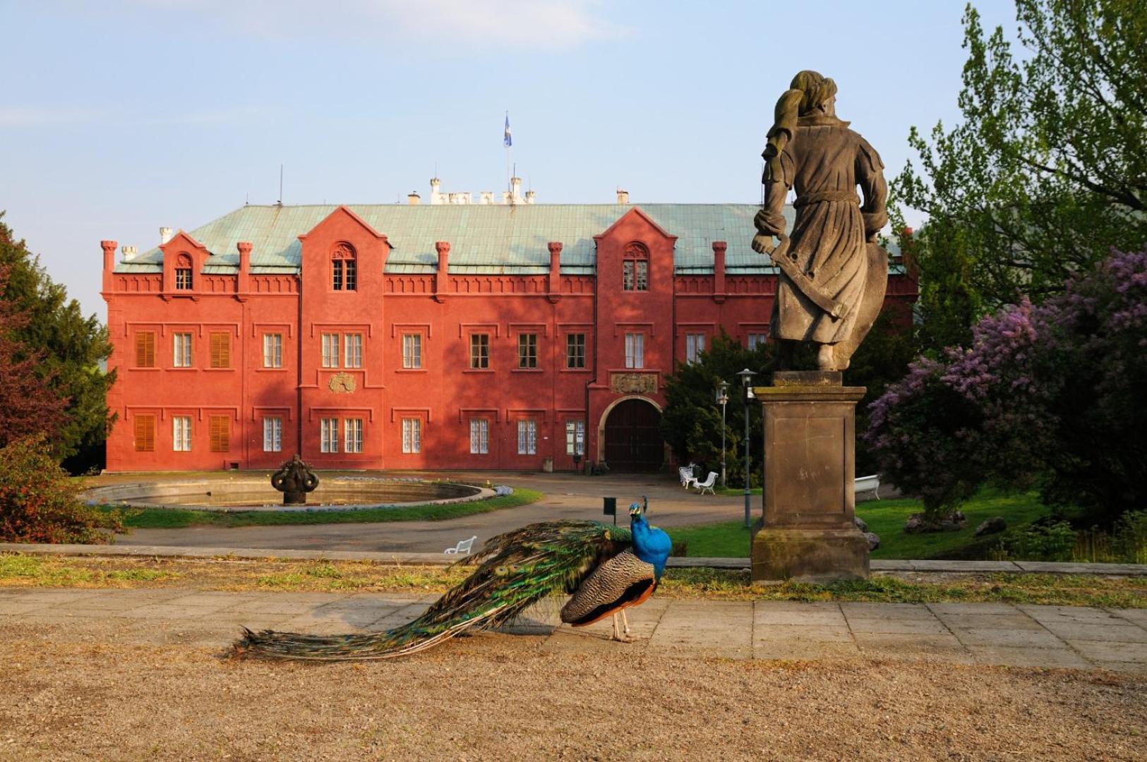 Chata Lazne Evzenie Klášterec nad Ohří Esterno foto